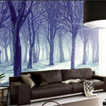 Curtain-shop-media